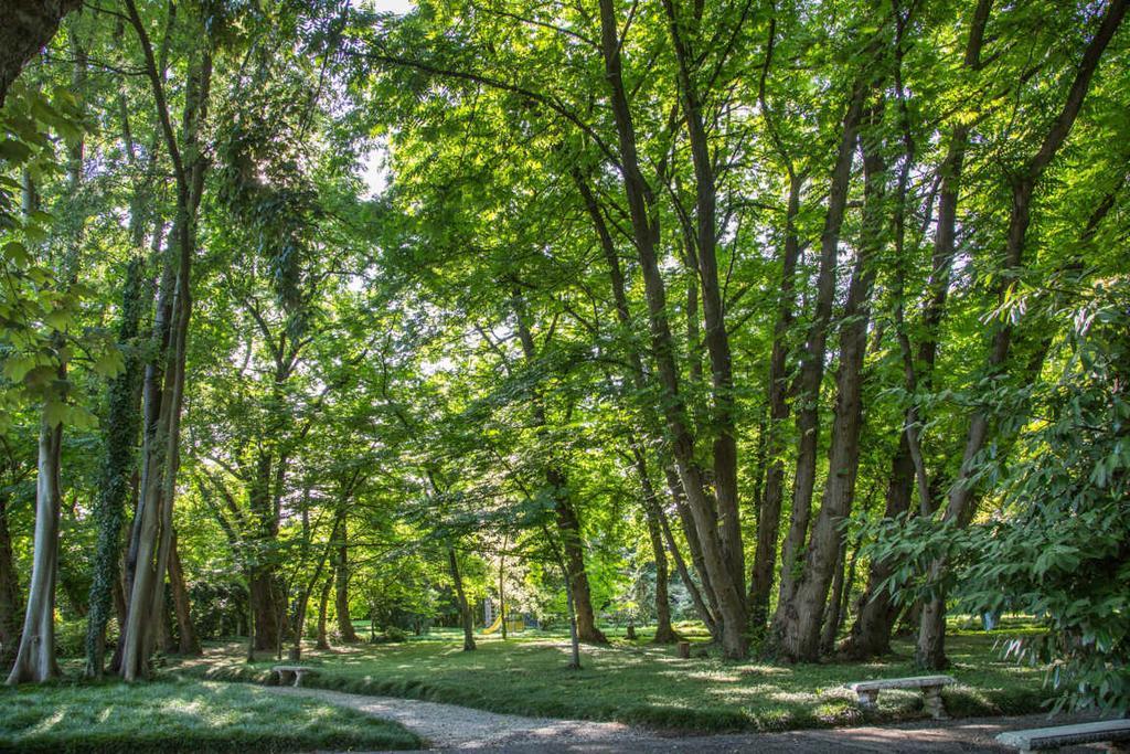 Villa Revedin Gorgo al Monticano ภายนอก รูปภาพ